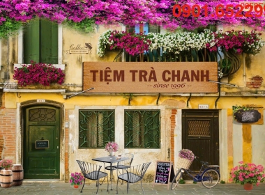  Tranh dán tường tại Đồng Nai thi công tại nhà giá rẻ-đẹp