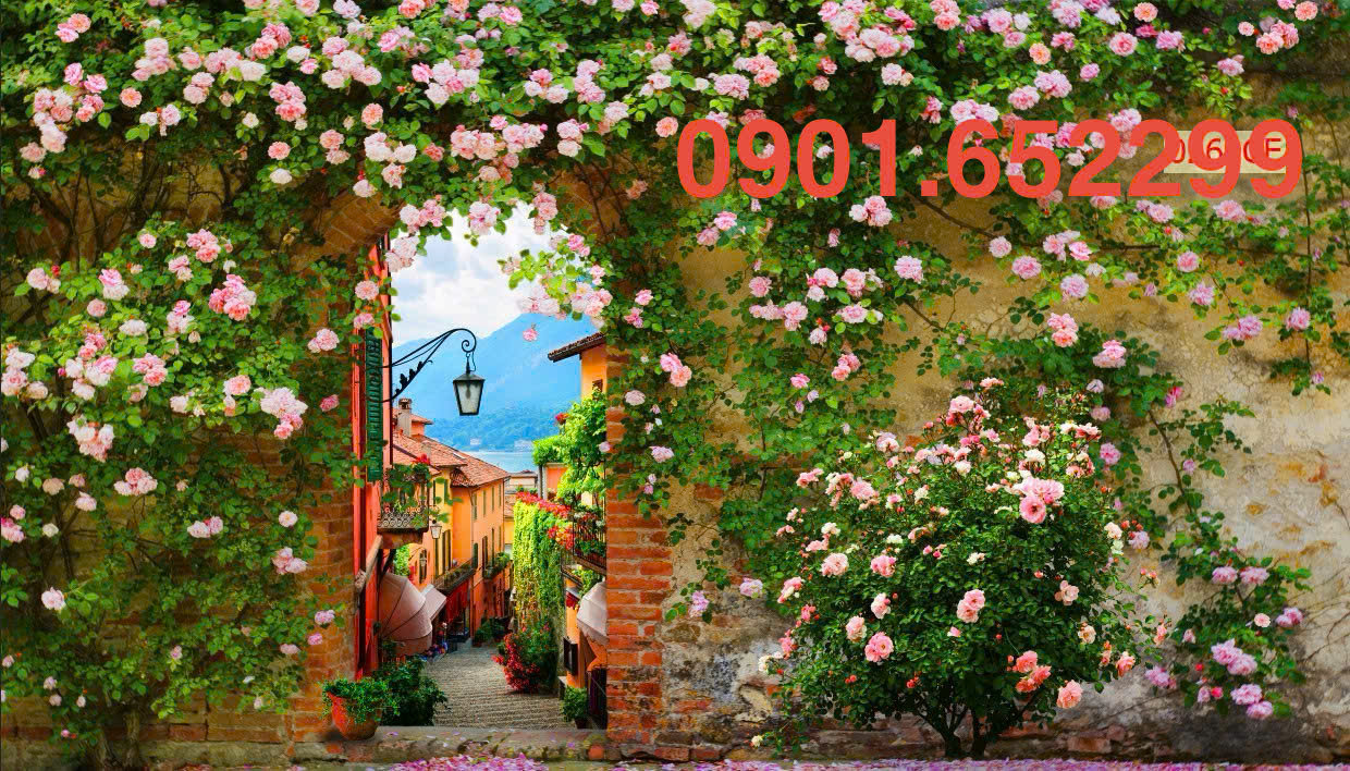 Tranh dán tường Đồng Nai thi công tận nhà - Đẹp, nhanh ,giá tốt