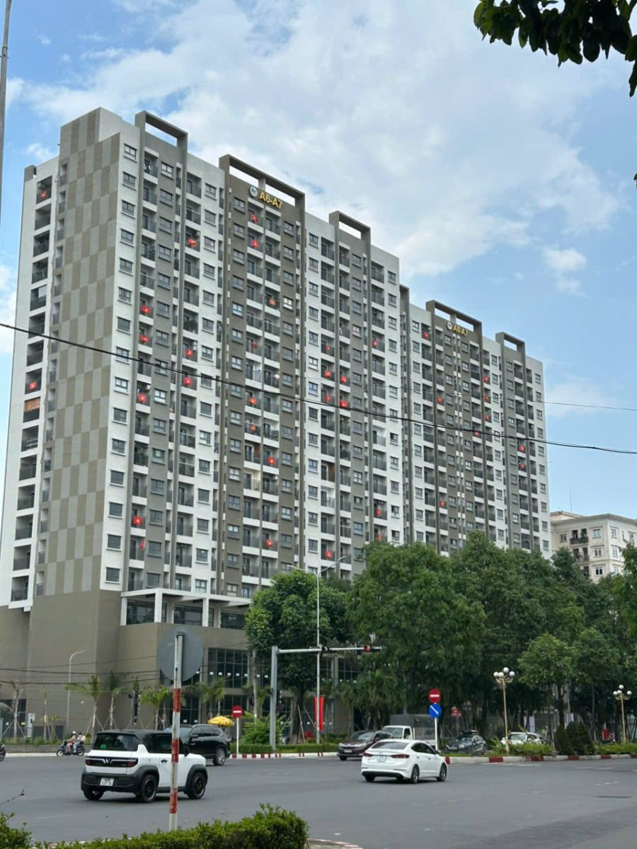 Thi công giàn phơi, lưới an toàn, cửa lưới, màn cửa tại Chung cư A6-A7 Biên Hòa